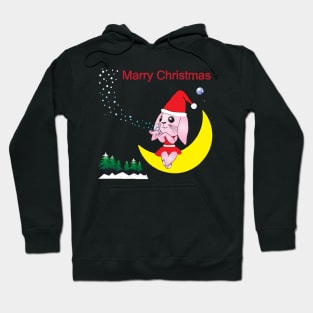 merry christmas santa rabbit Hoodie